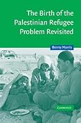 The Birth of the Palestinian Refugee Problem Revisited
