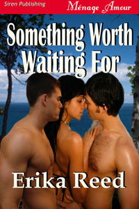  Something Worth Waiting For  (Unknown Binding)