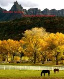 Promise to Keep (Kindle Edition)