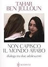 Non capisco il mo...
