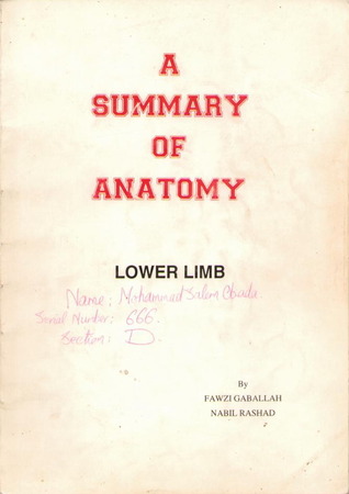 A Summary of Anatomy - Lower Limb