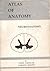 Atlas of Anatomy - Neuroana...