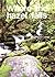 Where the Hazel Falls