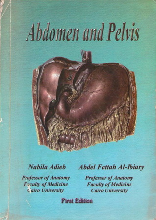 Abdomen and Pelvis