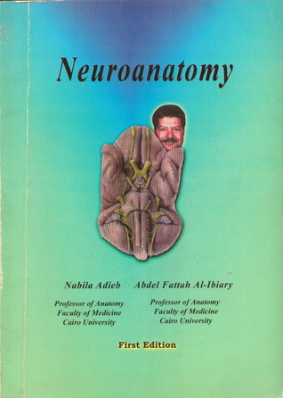 Neuroanatomy