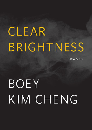 Clear Brightness (Paperback)