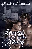 Tempted by the Storm (The Academy #2)