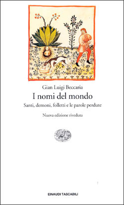 I nomi del mondo. Santi, demoni, folletti e le parole perdute