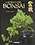 I segreti del bonsai