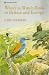 Where to Watch Birds in Bri...