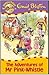 The Adventures Of Mr Pink-Whistle by Enid Blyton