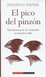 El pico del pinzó...
