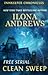 Clean Sweep (Innkeeper Chronicles, #1) by Ilona Andrews