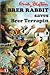 Brer Rabbit Saves Brer Terrapin (Knight Books)