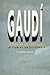 Gaudí. Vida de un visionario by J. Castellar-Gassol