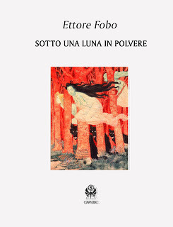 Sotto una Luna in polvere (Kindle Edition)