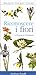 Riconoscere i fiori d'Italia e d'Europa