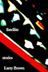 Satellite