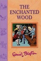 The Enchanted Wood