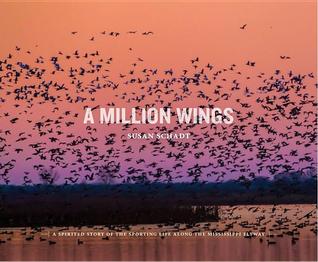 A Million Wings