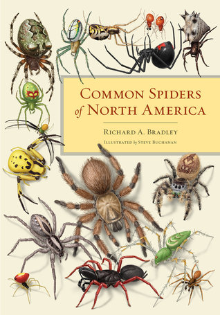 Common Spiders of North America (Hardcover)