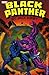 Black Panther, Vol. 2