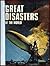 Great Disasters of the World