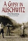 A Gypsy in Auschwitz