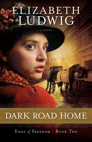 Dark Road Home (Edge of Freedom, #2)