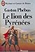 Le lion des pyrénées