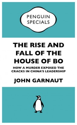 The Rise and Fall of the House of Bo (Kindle Edition)