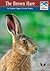 The Brown Hare