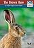 The Brown Hare
