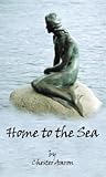 Home To The Sea by Chester Aaron