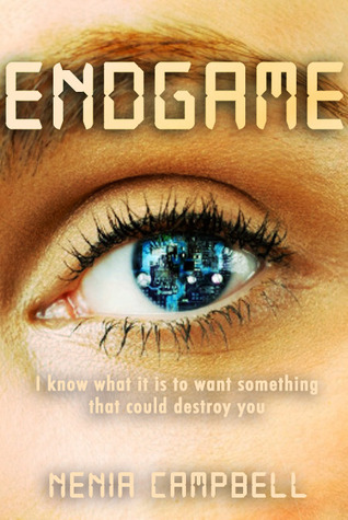 Endgame (Virtual Reality Standalones, #1)