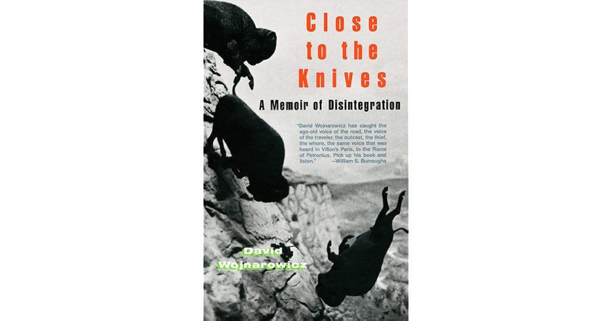 Close to the Knives A Memoir of Disintegration by David Wojnarowicz