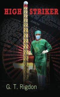 High Striker (Kindle Edition)