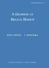 A Grammar of Biblical Hebrew
