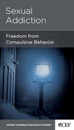 Sexual Addiction: Freedom from Compulsive Behavior (Paperback)