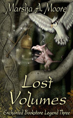 Lost Volumes (Enchanted Bookstore Legend #3)