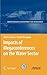 Impacts of Megaconferences on the Water Sector by Biswas