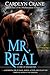 Mr. Real (Code of Shadows, #1)