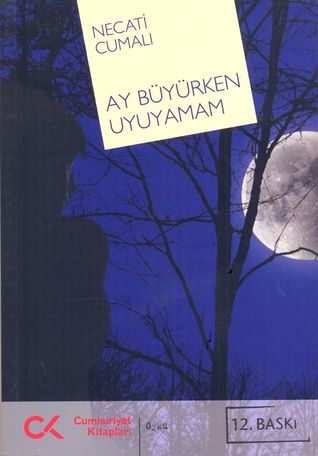 Ay Büyürken Uyuyamam (Paperback)