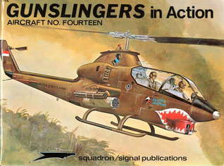 Gunslingers in Action (Aircraft No. Fourteen)
