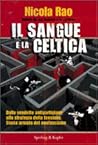 Il sangue e la celtica: Dalle vendette antipartigiane alla strategia della tensione. Storia armata del neofascismo