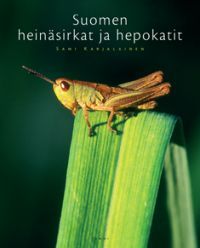 Suomen heinäsirkat ja hepokatit