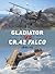 Gladiator vs CR.42 Falco: 1...