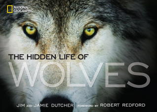 Hidden Life of Wolves, The (Hardcover)