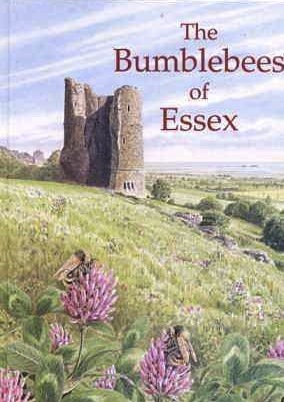 The Bumblebees of Essex (Hardcover)