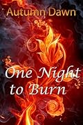 One Night to Burn
